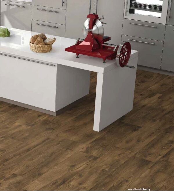Piastrella WOODLAND 30x120 Rettificato Nat. - immagine 15