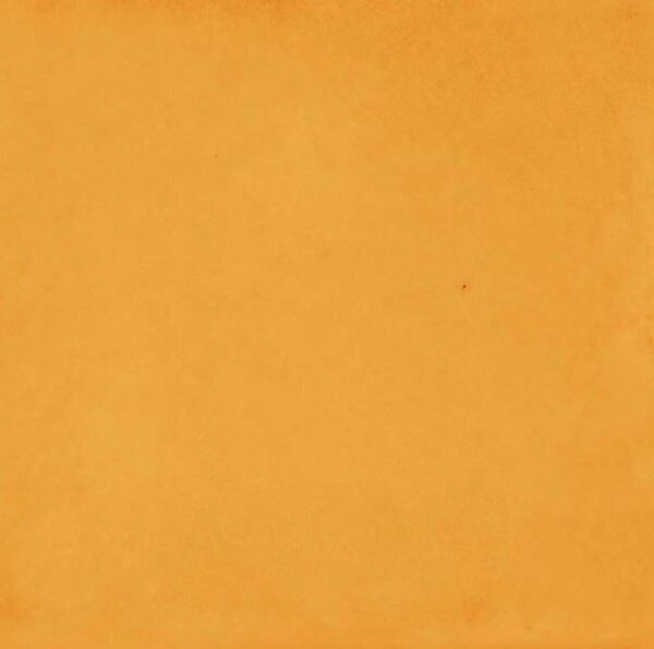 Vita Arancione Lucido 20x20 - immagine 3