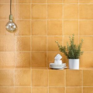 Vita Arancione Lucido 20x20