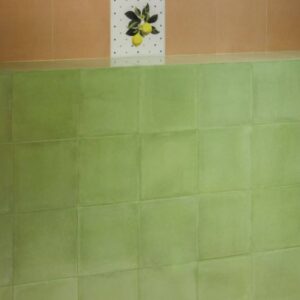 Vita Verde Lucido 20x20