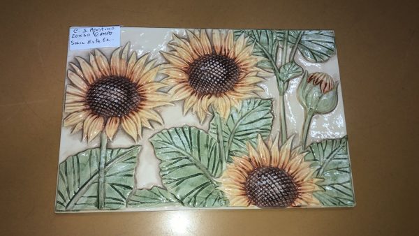 Rosone Campo 20x30