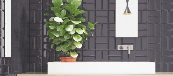 Diamante Nero 10x20