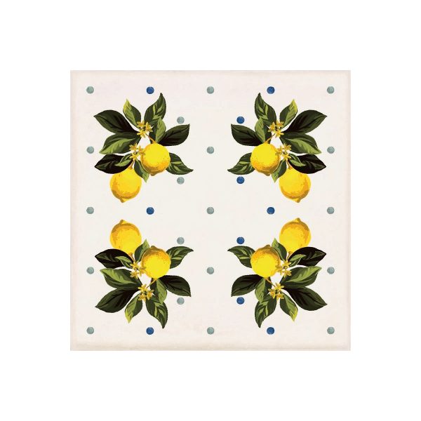 Giardino Bianco Mix Lucido 20x20 - immagine 13