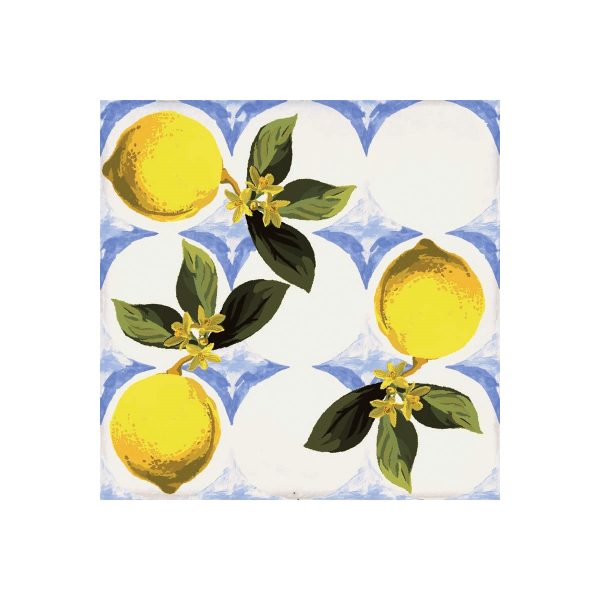 Giardino Bianco Mix Lucido 20x20 - immagine 10
