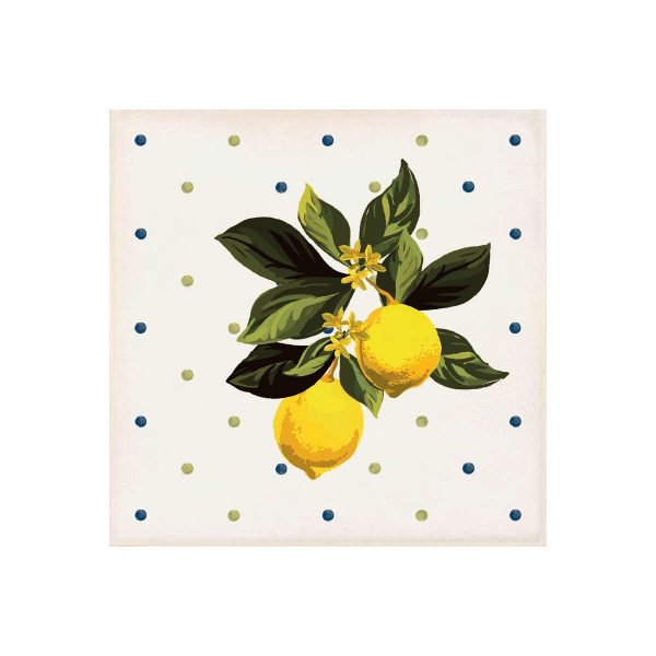 Giardino Bianco Mix Lucido 20x20 - immagine 11