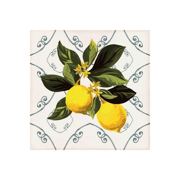 Giardino Bianco Mix Lucido 20x20 - immagine 12
