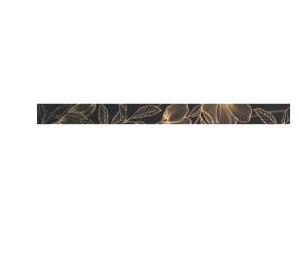 Desire Oro 4,5x56