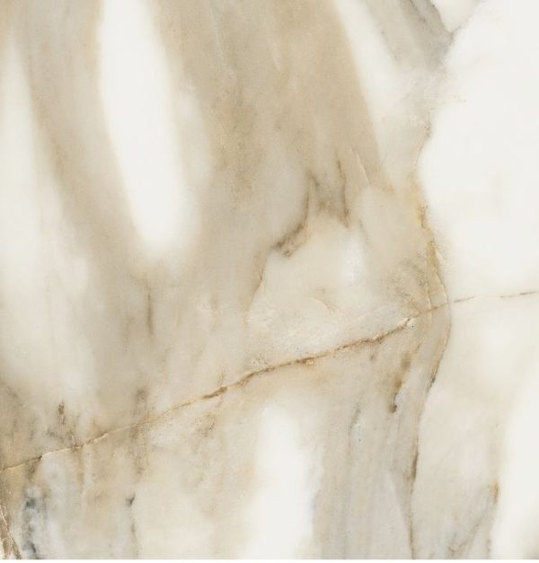 Piastrella rettificata Calacatta Gold 60X60